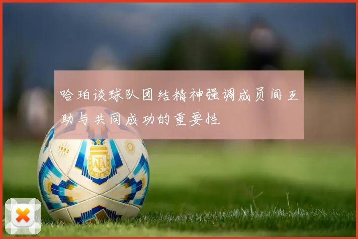 哈珀谈球队团结精神强调成员间互助与共同成功的重要性