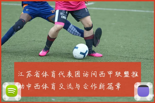 江苏省体育代表团访问西甲联盟推动中西体育交流与合作新篇章