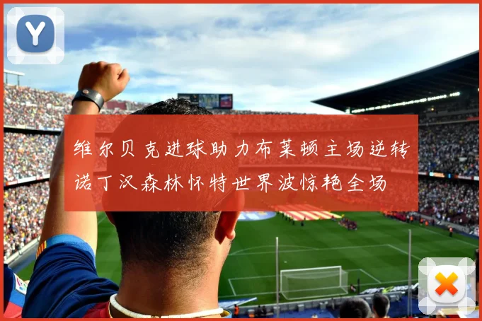 维尔贝克进球助力布莱顿主场逆转诺丁汉森林怀特世界波惊艳全场