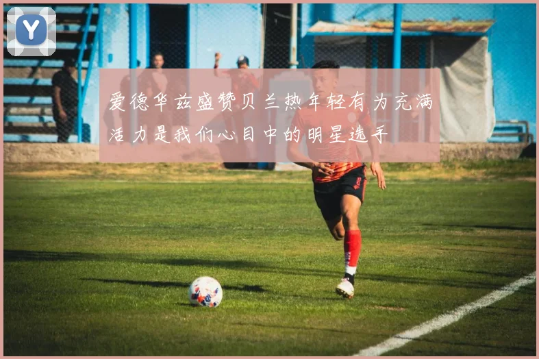 爱德华兹盛赞贝兰热年轻有为充满活力是我们心目中的明星选手