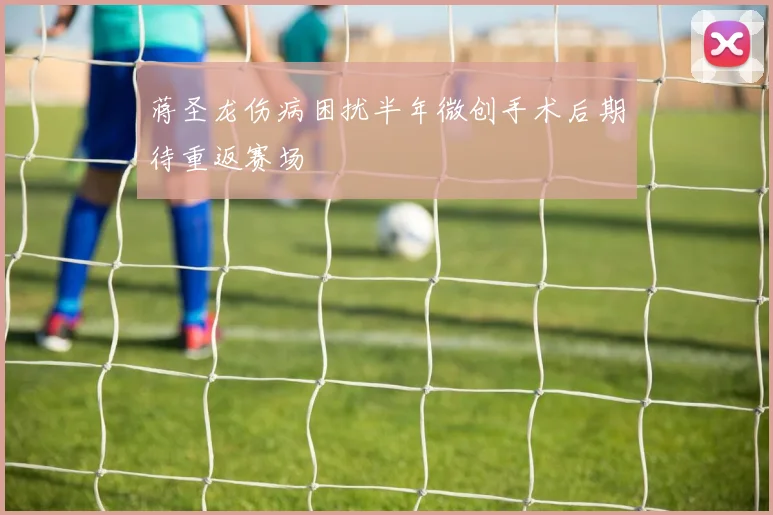蒋圣龙伤病困扰半年微创手术后期待重返赛场